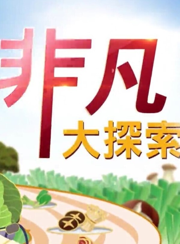 旗袍大奶熟女人妻少婦酒店偷情私會帥氣小鮮肉啪啪打炮 大喊“我要，操我” 呻吟不止無套內射中出 - SeedHub